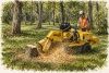 Professional Stump Grinding Services for a Clean, Finished Landscape